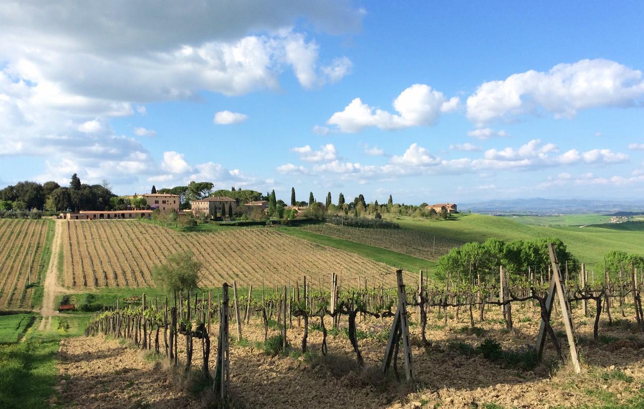Tenuta Di Corsano Monteroni dʼArbia Exterior foto
