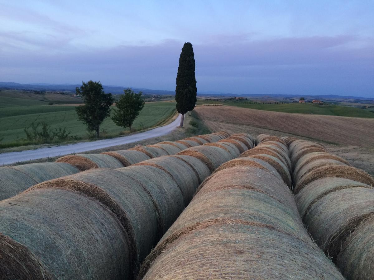 Tenuta Di Corsano Monteroni dʼArbia Exterior foto